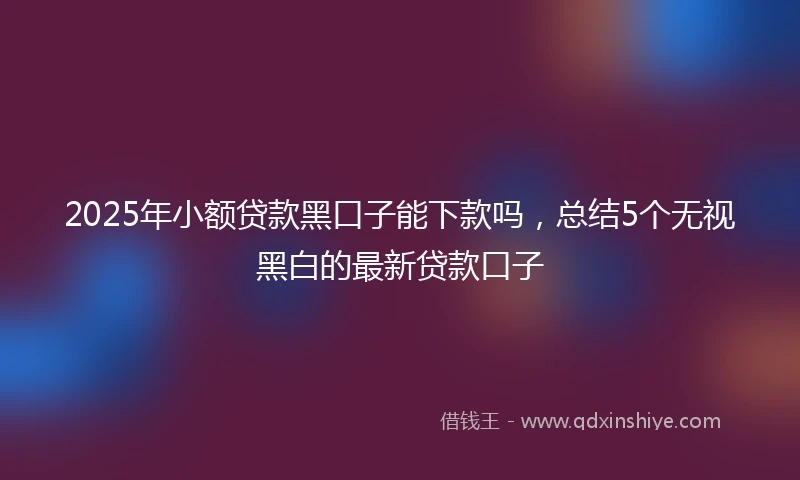 2025年小额贷款黑口子能下款吗，总结5个无视黑白的最新贷款口子
