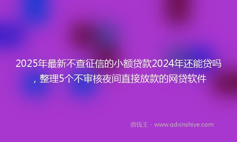 2025年最新不查征信的小额贷款2024年还能贷吗，整理5个不审核夜间直接放款的网贷软件
