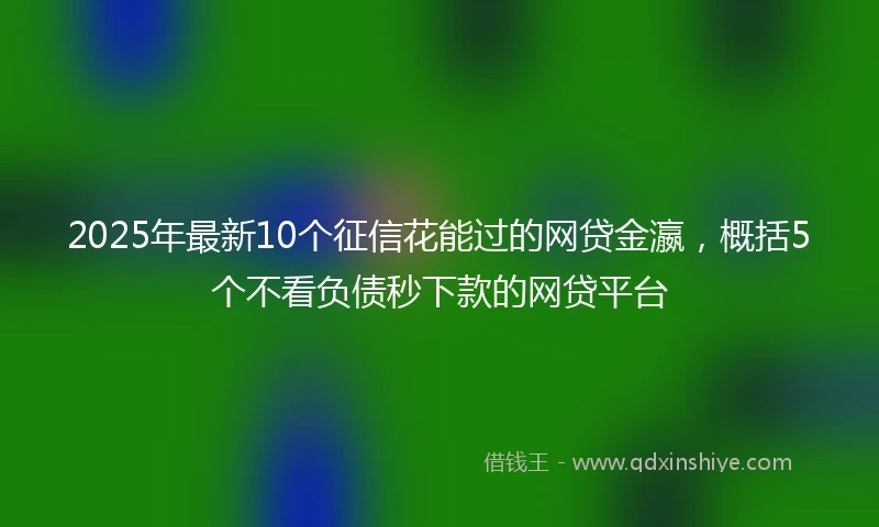 2025年最新10个征信花能过的网贷金瀛，概括5个不看负债秒下款的网贷平台