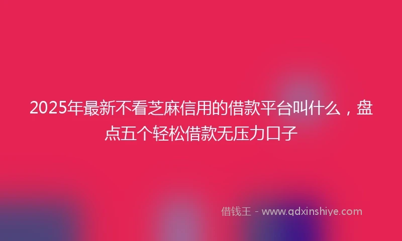 2025年最新不看芝麻信用的借款平台叫什么，盘点五个轻松借款无压力口子