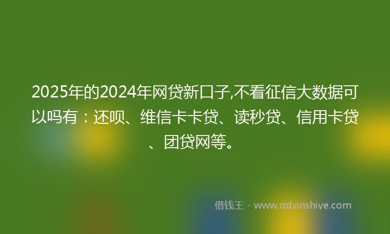 2025年的2024年网贷新口子,不看征信大数据可以吗有：还呗、维信卡卡贷、读秒贷、信用卡贷、团贷网等。
