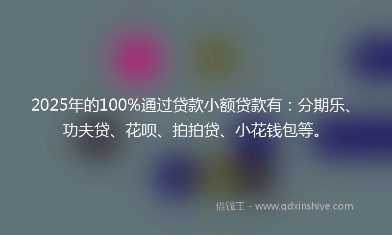 2025年的100%通过贷款小额贷款有：分期乐、功夫贷、花呗、拍拍贷、小花钱包等。