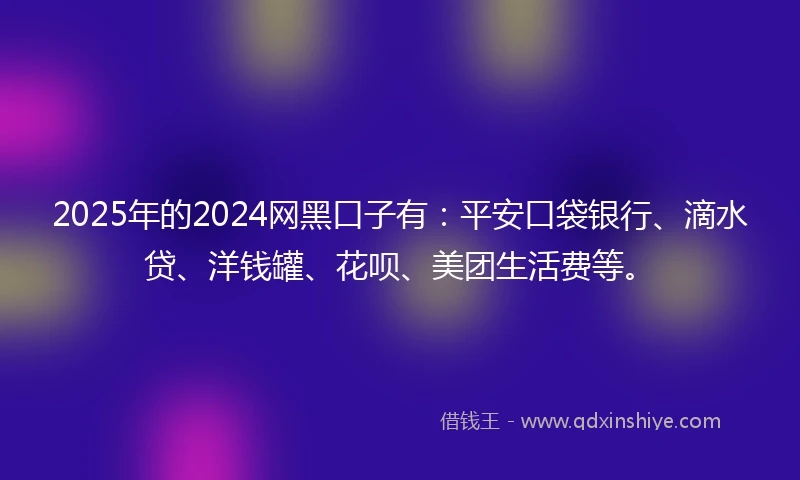 2025年的2024网黑口子有：平安口袋银行、滴水贷、洋钱罐、花呗、美团生活费等。