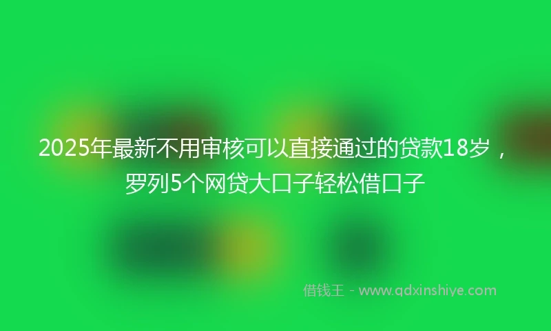 2025年最新不用审核可以直接通过的贷款18岁，罗列5个网贷大口子轻松借口子