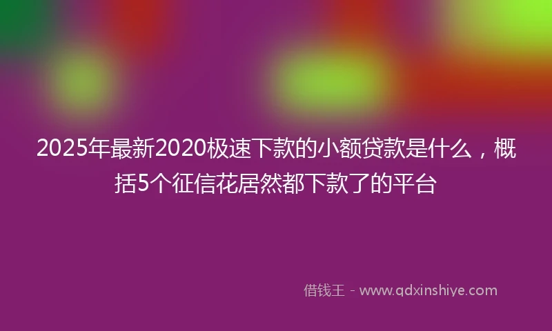 2025年最新2020极速下款的小额贷款是什么，概括5个征信花居然都下款了的平台