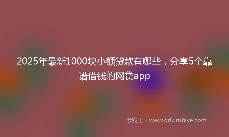2025年最新1000块小额贷款有哪些，分享5个靠谱借钱的网贷app