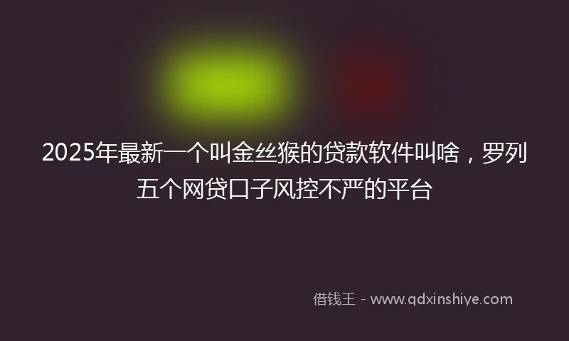 2025年最新一个叫金丝猴的贷款软件叫啥，罗列五个网贷口子风控不严的平台