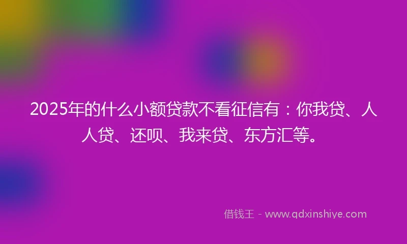 2025年的什么小额贷款不看征信有：你我贷、人人贷、还呗、我来贷、东方汇等。