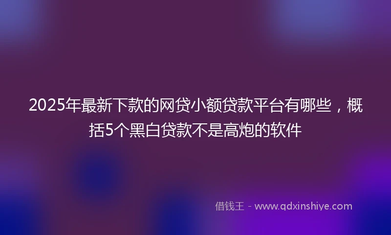2025年最新下款的网贷小额贷款平台有哪些，概括5个黑白贷款不是高炮的软件