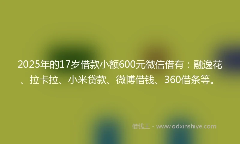 2025年的17岁借款小额600元微信借有：融逸花、拉卡拉、小米贷款、微博借钱、360借条等。
