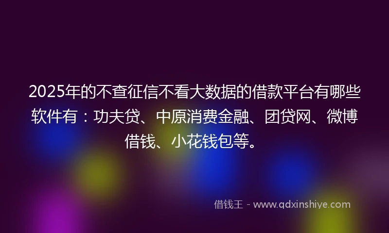 2025年的不查征信不看大数据的借款平台有哪些软件有：功夫贷、中原消费金融、团贷网、微博借钱、小花钱包等。