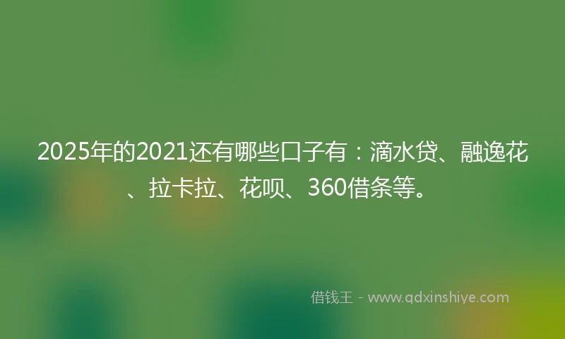 2025年的2021还有哪些口子有：滴水贷、融逸花、拉卡拉、花呗、360借条等。