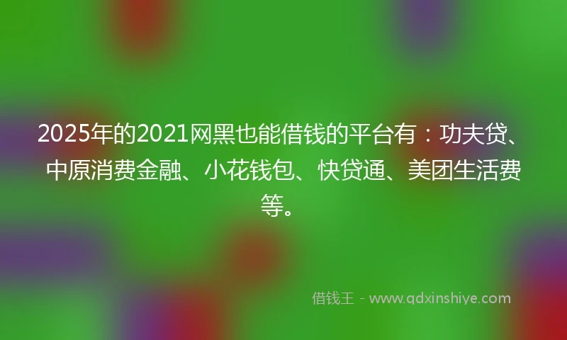 2025年的2021网黑也能借钱的平台有：功夫贷、中原消费金融、小花钱包、快贷通、美团生活费等。