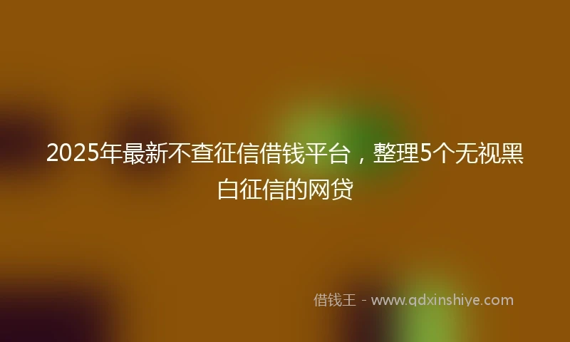 2025年最新不查征信借钱平台，整理5个无视黑白征信的网贷