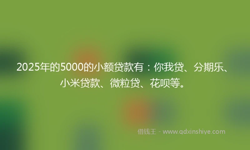 2025年的5000的小额贷款有：你我贷、分期乐、小米贷款、微粒贷、花呗等。