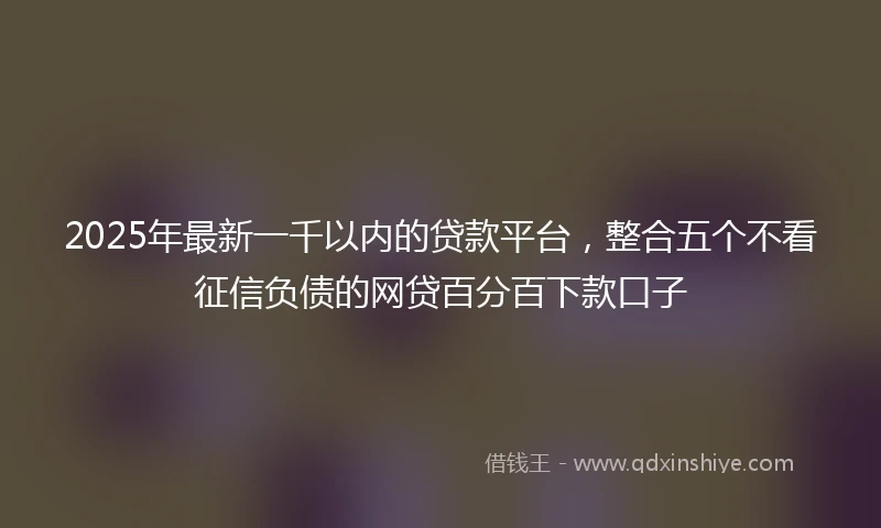 2025年最新一千以内的贷款平台，整合五个不看征信负债的网贷百分百下款口子