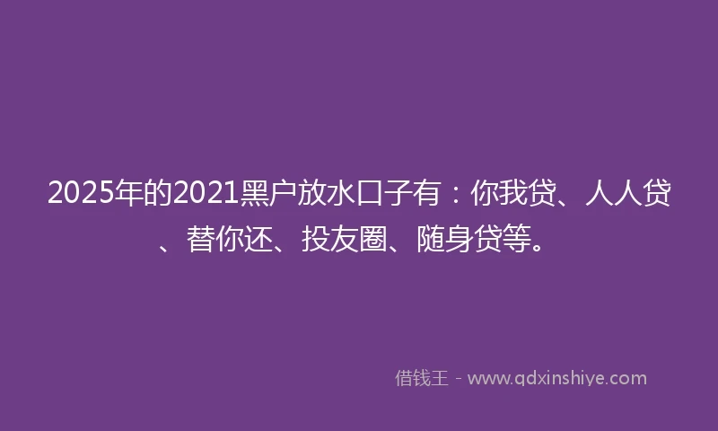 2025年的2021黑户放水口子有：你我贷、人人贷、替你还、投友圈、随身贷等。