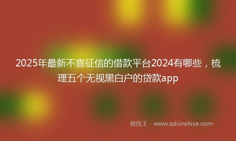 2025年最新不查征信的借款平台2024有哪些，梳理五个无视黑白户的贷款app