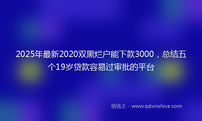 2025年最新2020双黑烂户能下款3000，总结五个19岁贷款容易过审批的平台