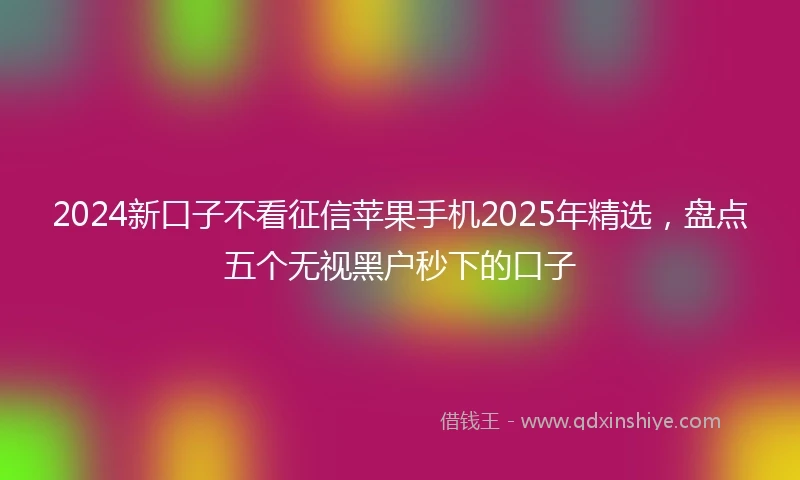 2024新口子不看征信苹果手机2025年精选，盘点五个无视黑户秒下的口子
