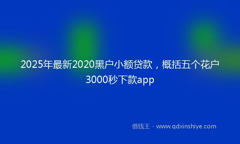 2025年最新2020黑户小额贷款，概括五个花户3000秒下款app