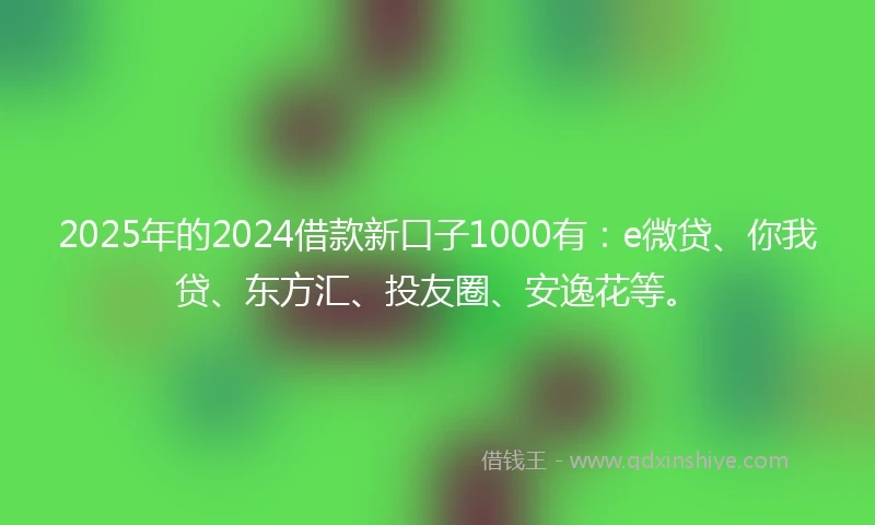 2025年的2024借款新口子1000有：e微贷、你我贷、东方汇、投友圈、安逸花等。