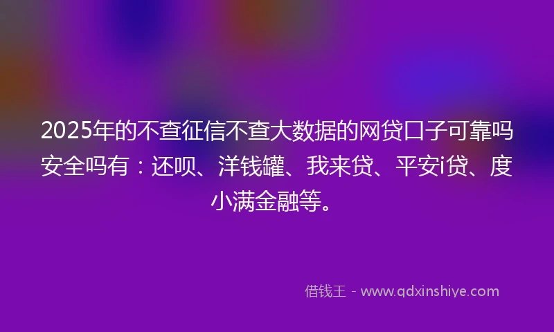 2025年的不查征信不查大数据的网贷口子可靠吗安全吗有：还呗、洋钱罐、我来贷、平安i贷、度小满金融等。