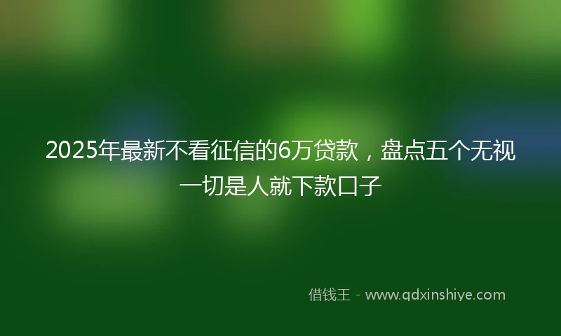 2025年最新不看征信的6万贷款，盘点五个无视一切是人就下款口子