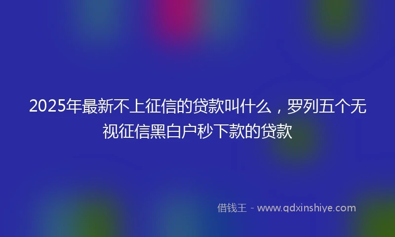 2025年最新不上征信的贷款叫什么，罗列五个无视征信黑白户秒下款的贷款