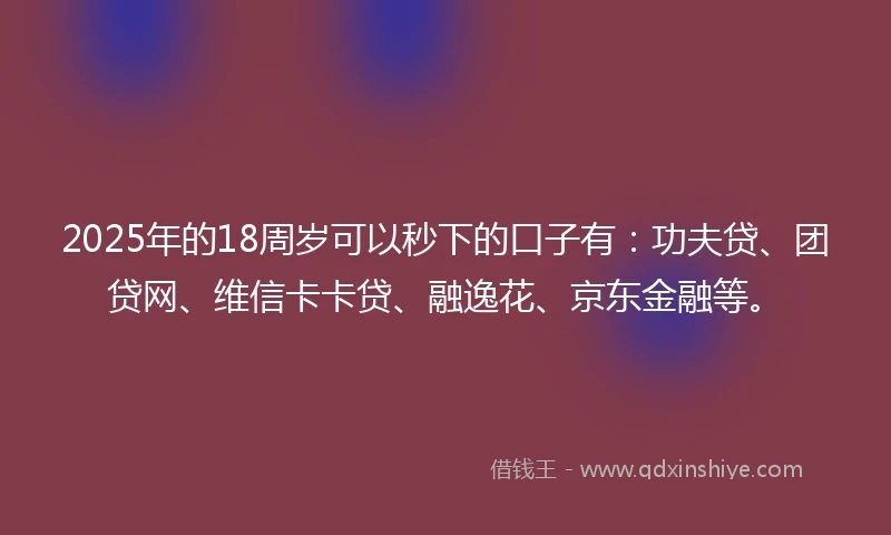 2025年的18周岁可以秒下的口子有：功夫贷、团贷网、维信卡卡贷、融逸花、京东金融等。