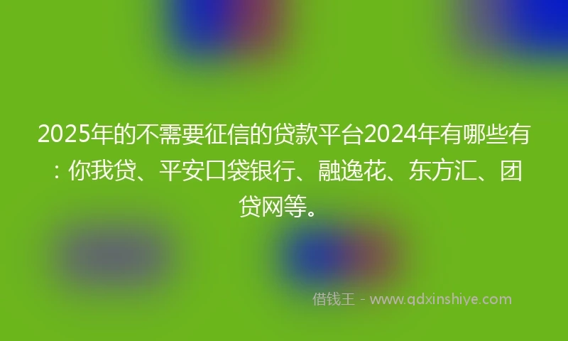 2025年的不需要征信的贷款平台2024年有哪些有：你我贷、平安口袋银行、融逸花、东方汇、团贷网等。