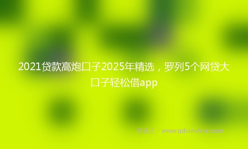 2021贷款高炮口子2025年精选，罗列5个网贷大口子轻松借app