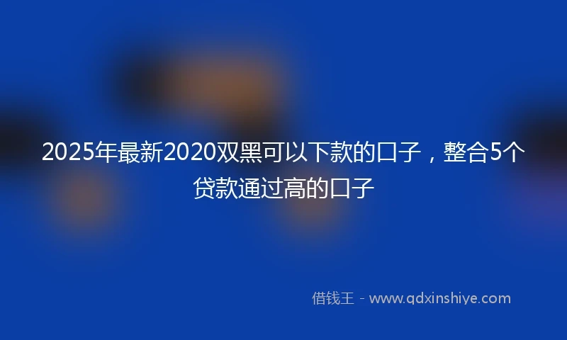 2025年最新2020双黑可以下款的口子，整合5个贷款通过高的口子