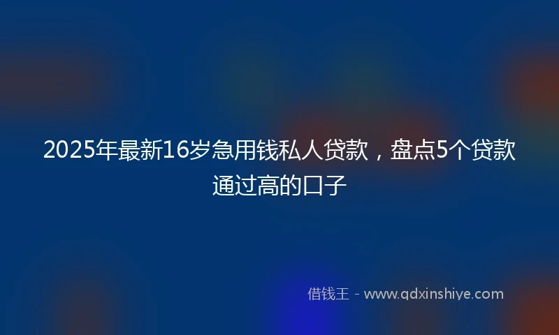 2025年最新16岁急用钱私人贷款，盘点5个贷款通过高的口子
