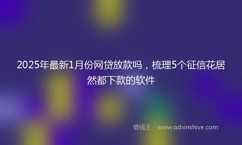 2025年最新1月份网贷放款吗，梳理5个征信花居然都下款的软件
