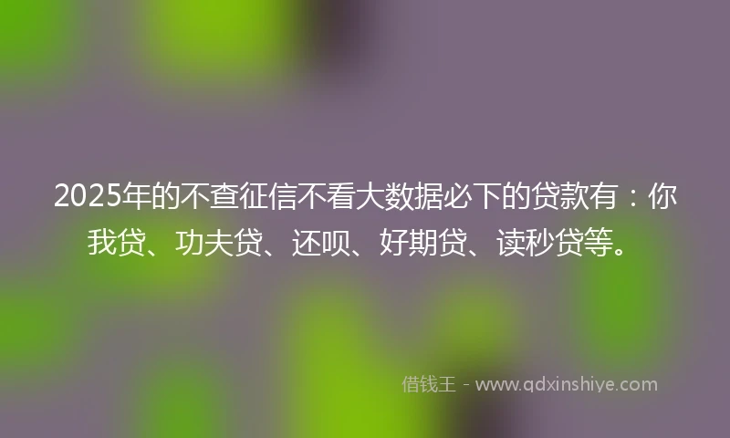 2025年的不查征信不看大数据必下的贷款有：你我贷、功夫贷、还呗、好期贷、读秒贷等。