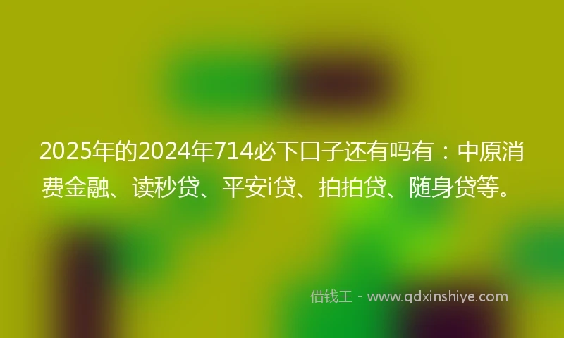 2025年的2024年714必下口子还有吗有：中原消费金融、读秒贷、平安i贷、拍拍贷、随身贷等。
