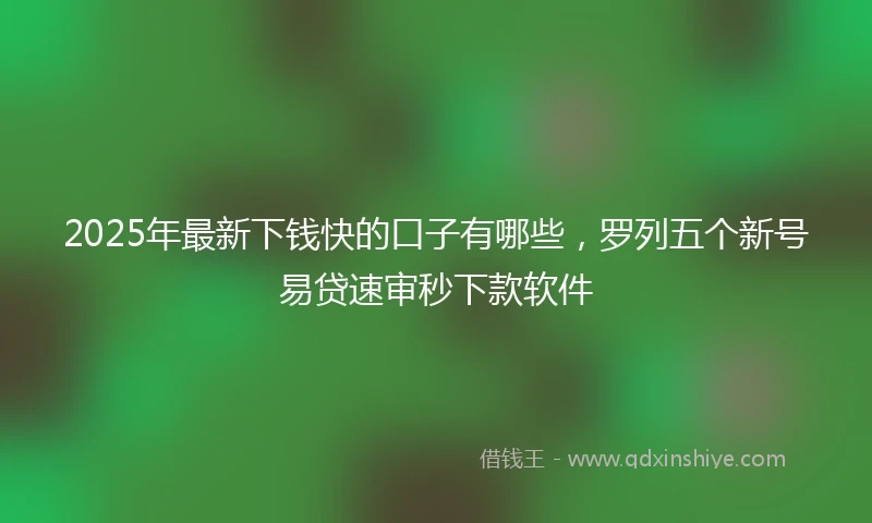 2025年最新下钱快的口子有哪些，罗列五个新号易贷速审秒下款软件