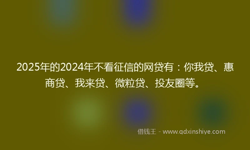 2025年的2024年不看征信的网贷有：你我贷、惠商贷、我来贷、微粒贷、投友圈等。