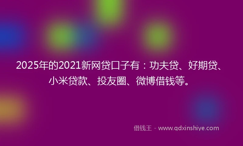 2025年的2021新网贷口子有：功夫贷、好期贷、小米贷款、投友圈、微博借钱等。