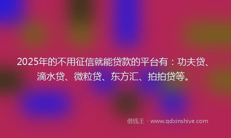 2025年的不用征信就能贷款的平台有：功夫贷、滴水贷、微粒贷、东方汇、拍拍贷等。
