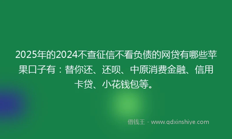 2025年的2024不查征信不看负债的网贷有哪些苹果口子有：替你还、还呗、中原消费金融、信用卡贷、小花钱包等。