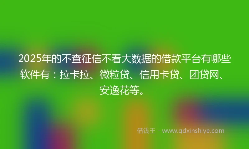 2025年的不查征信不看大数据的借款平台有哪些软件有：拉卡拉、微粒贷、信用卡贷、团贷网、安逸花等。
