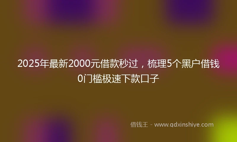 2025年最新2000元借款秒过，梳理5个黑户借钱0门槛极速下款口子