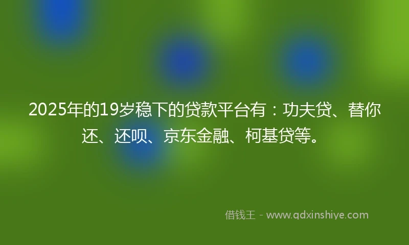 2025年的19岁稳下的贷款平台有：功夫贷、替你还、还呗、京东金融、柯基贷等。