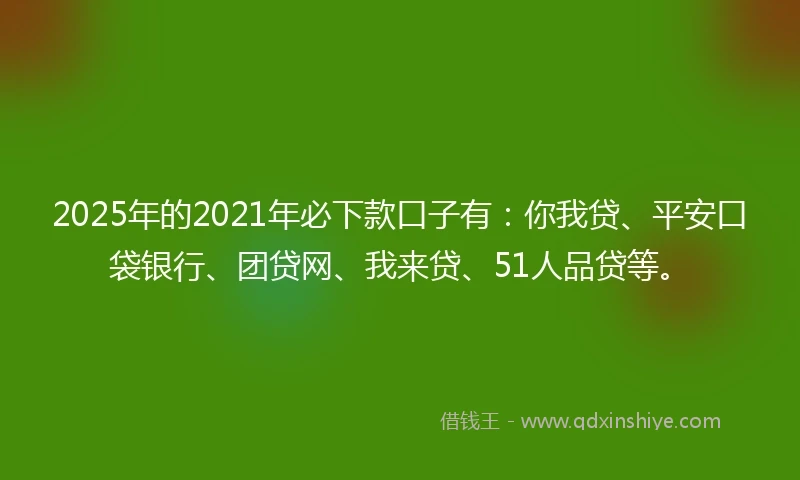 2025年的2021年必下款口子有：你我贷、平安口袋银行、团贷网、我来贷、51人品贷等。