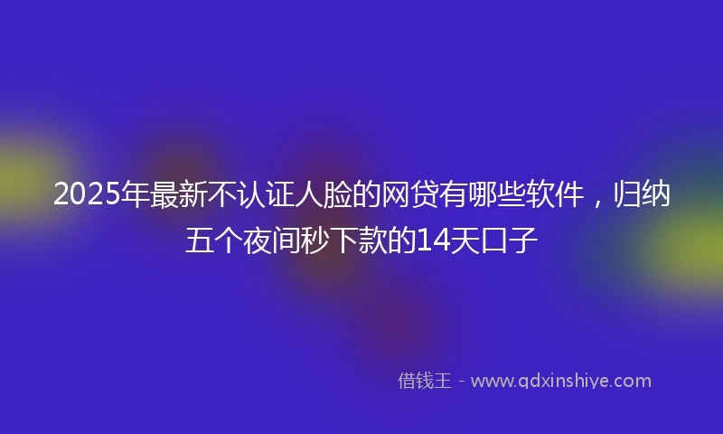 2025年最新不认证人脸的网贷有哪些软件，归纳五个夜间秒下款的14天口子