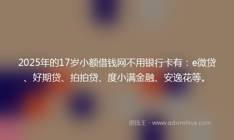 2025年的17岁小额借钱网不用银行卡有：e微贷、好期贷、拍拍贷、度小满金融、安逸花等。