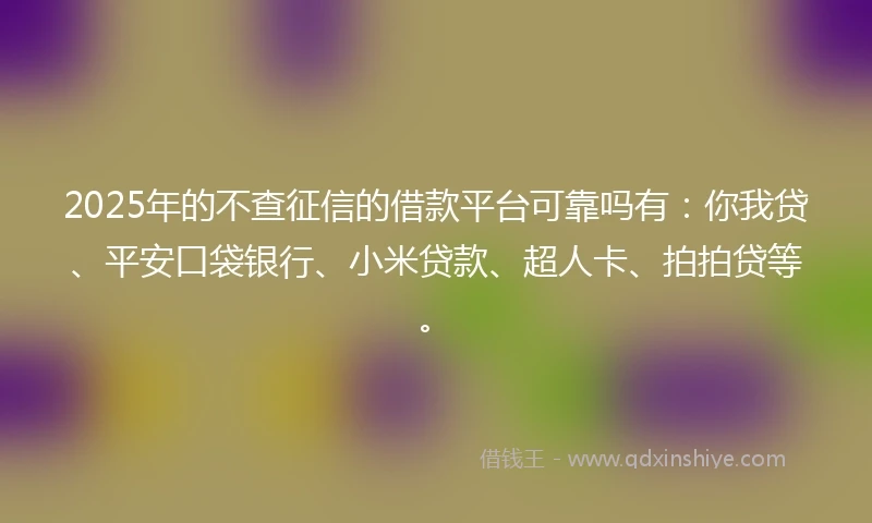 2025年的不查征信的借款平台可靠吗有：你我贷、平安口袋银行、小米贷款、超人卡、拍拍贷等。