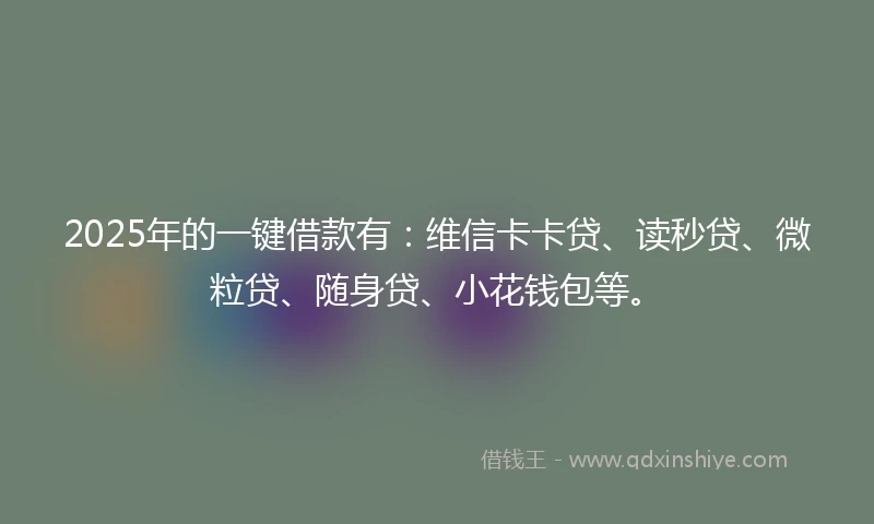 2025年的一键借款有：维信卡卡贷、读秒贷、微粒贷、随身贷、小花钱包等。